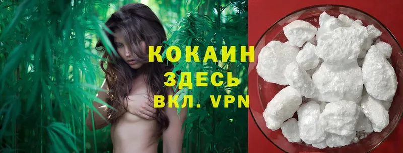 darknet клад  Меленки  Cocaine Эквадор 